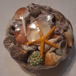 Decorative Seashell and Starfish Bowl